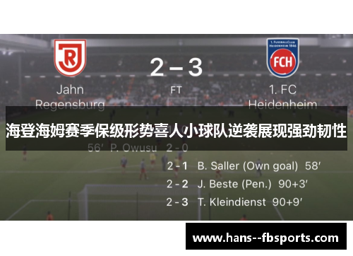 海登海姆赛季保级形势喜人小球队逆袭展现强劲韧性