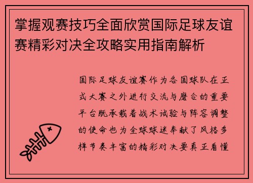 掌握观赛技巧全面欣赏国际足球友谊赛精彩对决全攻略实用指南解析